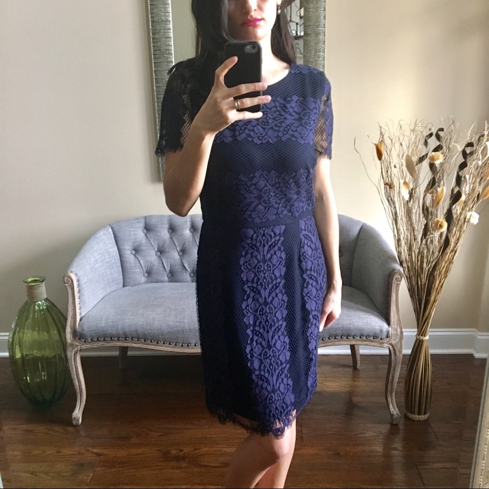 Gorgeous Cremieux Lace Dress NWT